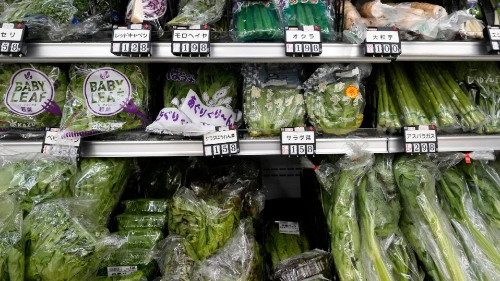 Vegetables wrapped in plastic at a supermarket in Tokyo, Japan. Japan remains to be one of the largest producers of single-use plastics in the world. 