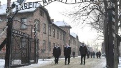 Das Konzentrationslager Auschwitz-Birkenau