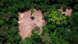 Abholzung eines Waldgebietes in Brasilien