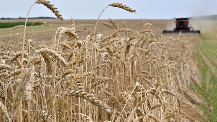 Khủng hoảng lúa mì Nga-Ucraina