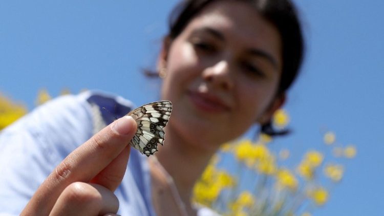 A Natural Sciences student in Tirana observes the endangered butterly population 