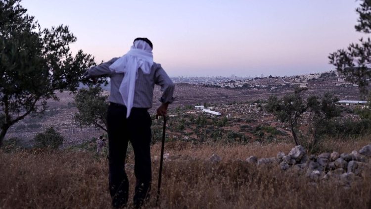 A resident of the Battir UNESCO heritage village contemplates the valley in which a new Israeli settlers oupost is built "deep in Palestinian territory"