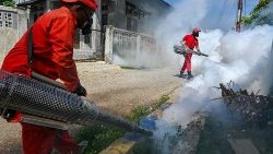 In Indonesien wird ein Insektizid versprüht, um Stechmücken zu töten und so die Ausbreitung des Dengue-Fiebers zu verringern (13.8.2024)