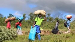 Zambia, un gruppo di donne e uomini si spostano nella foresta