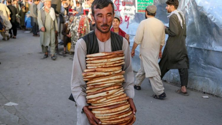 An estimated 14.2 million people in Afghanistan face acute food insecurity, FAO says