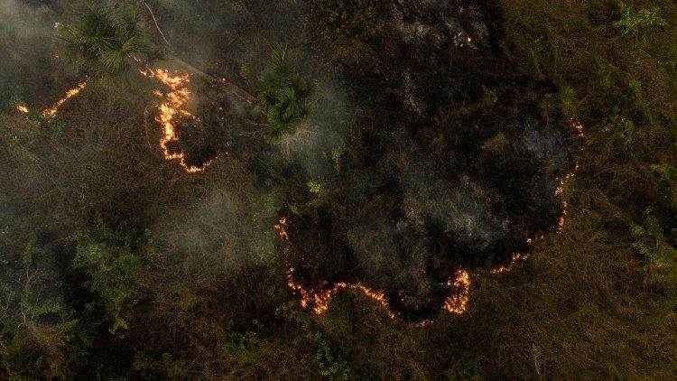 Amazzonia, incendio a Manaus, settembre 2024