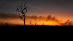 Große Brände in den tropischen Feuchtgebieten Brasiliens