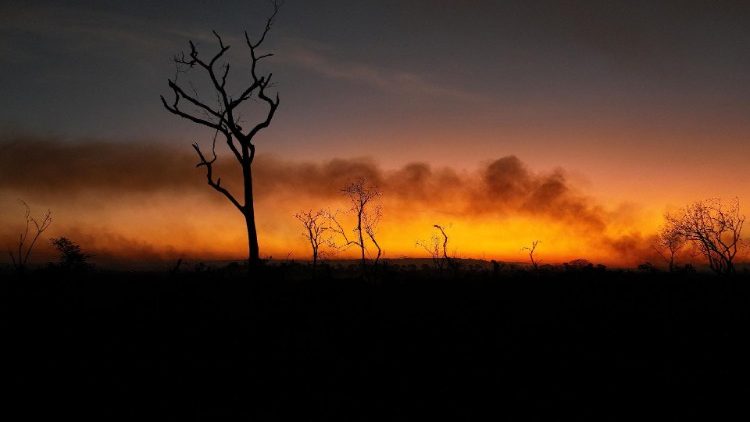 Große Brände in den tropischen Feuchtgebieten Brasiliens