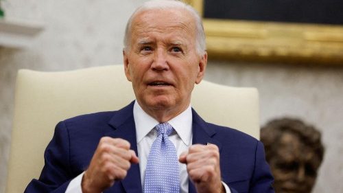  Joe Biden candidat: aux États-Unis, le camp démocrate est déchiré par le doute 