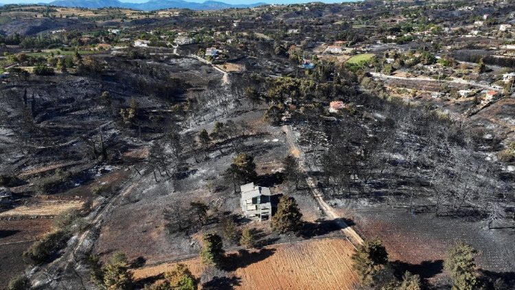 Après l'incendie dans le village de Varnavas, près d'Athènes, en Grèce, le 13 août 2024.