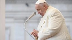 Noticias del Papa Francisco - Todas las últimas noticias - Vatican News