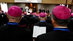 Bischöfe bei der Synode