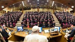Stretnutie v Novej synodálnej sále vo Vatikáne