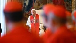 Le Pape François ce lundi 1er juillet lors du Consistoire. 
