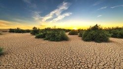 Ohne Wasser keine Land- und Viehwirtschaft. Die Folge ist Verarmung und Hunger