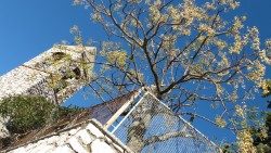 Kirchturm mit blühendem Baum