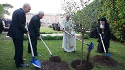 Peres, Abbas, pave Frans og den økumeniske patriark Bartolomeus i Vatikanhagene, 8. juni 2014 