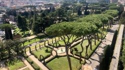 Die Pinien in den Vatikanischen Gärten