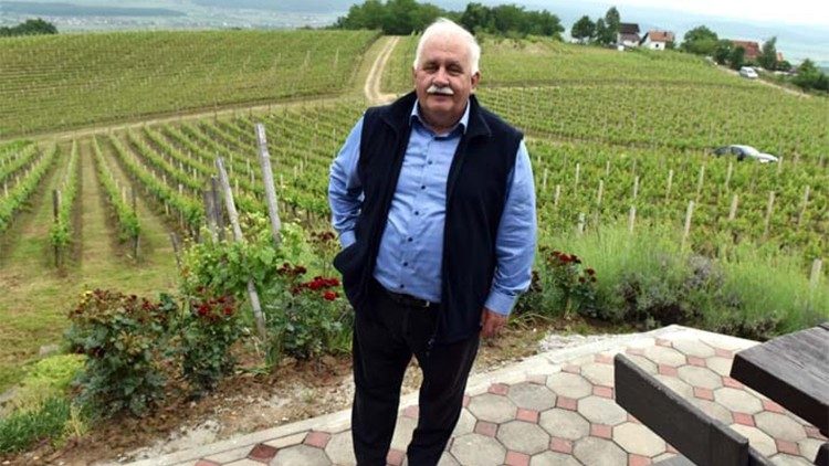 Marinko Markota u svojem vinogradu (iz obiteljskog albuma)