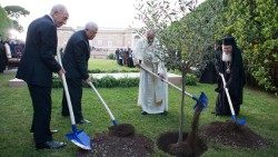 Påven tillsammans med Israels president Peres och Palestinas president Abbas, samt patriarken Bartholomeus, när de planterar ett olivträd i Vatikanens trädgårdar som en symbol för fred (8 juni 2014)