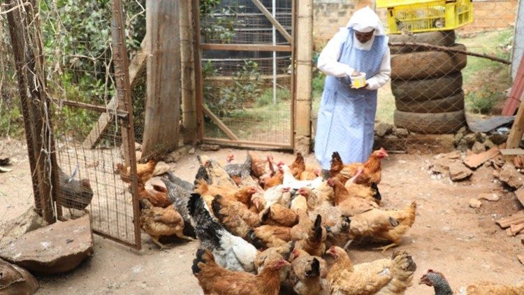 Sor Mary Angelina da de comer a las gallinas