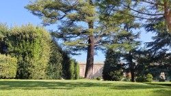 A view of nature in the Vatican Gardens