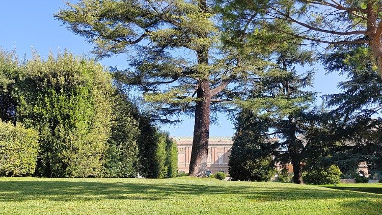 A view of nature in the Vatican Gardens