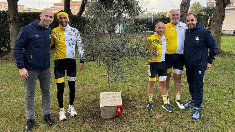 A placa colocada aos pés da oliveira plantada no ano passado