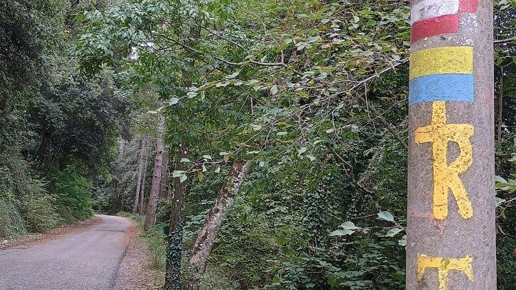 Auf dem Franziskusweg von Assisi nach Spello (Foto: Stefanie Stahlhofen)