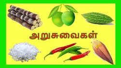 அறுசுவைகள்  