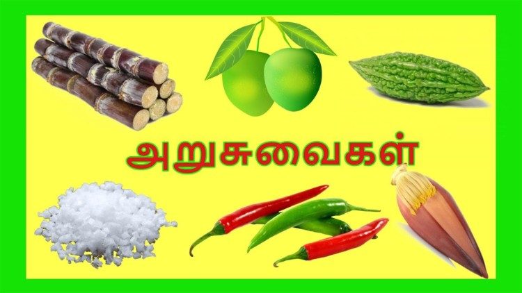 அறுசுவைகள்  