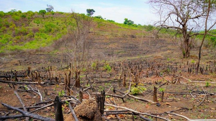 En Guinée, une vue du massif du Fouta Djallon en dégradation