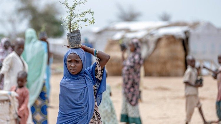 I progetti nel nord del Camerun che prevedono la piantumazione di 2000 alberi per combattere la desertificazione (Unhcr)