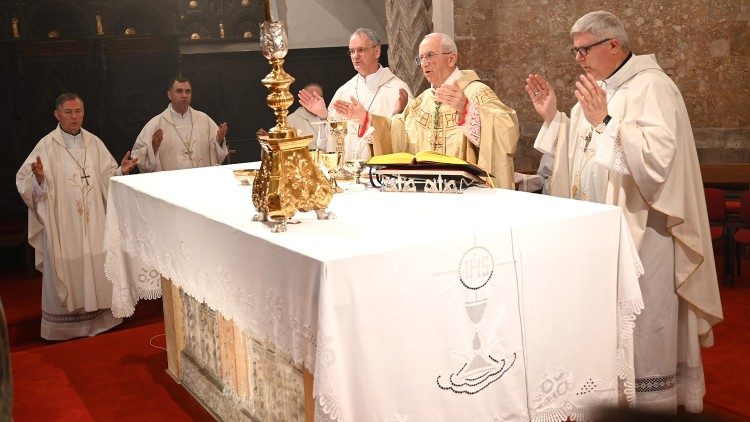 Misno slavlje povodom 50 godina svećeništva mons. Želimira Puljića  (Foto: Ines Grbić)