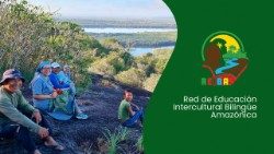 La Red de Educación Intercultural Bilingüe Amazónica es un organismo eclesial sin ánimo de lucro que depende de la Conferencia Eclesial Amazónica (CEAMA).