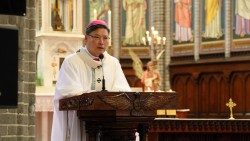 Archbishop Peter Soon-taick Chung preaches at Mass in Seoul