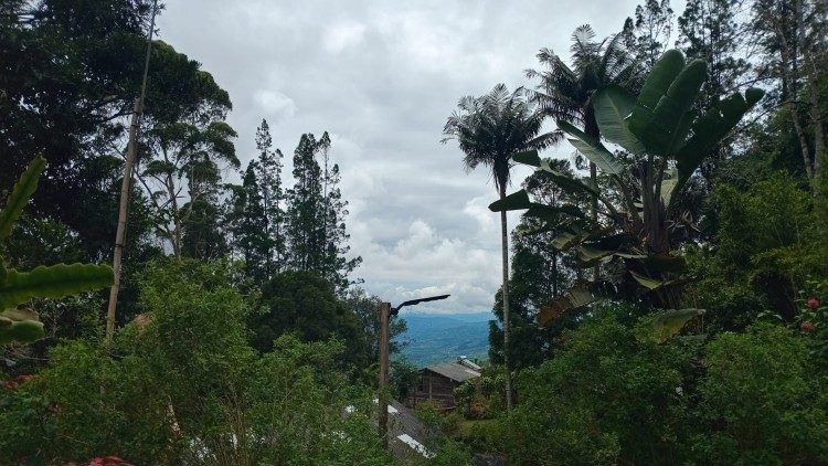 Ausblick von der Gemeinde in Kolumbien auf den umliegenden Wald