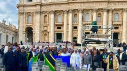 Ushiriki wa Jumuiya ya Watanzania katika Katekesi ya Papa Francisko Jumatano tarehe 13 Novemba 2024.