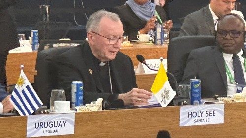 Cardinal Pietro Parolin en el G20 - Brasile 