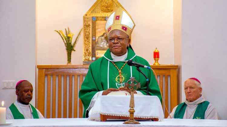 Cardinal Ambongo advocates for peace and dialogue at the SECAM meeting in Rwanda