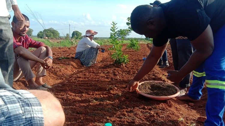 Zambian and Indian farmers in Andhra Pradesh, India