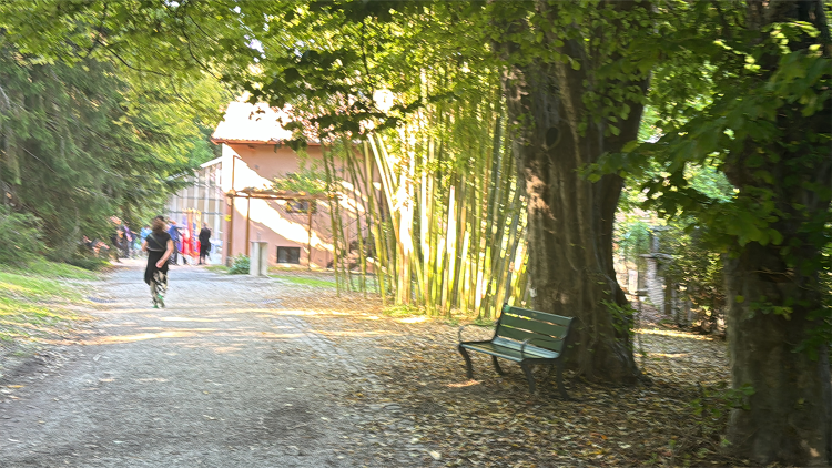 Jardín Botánico