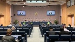 Sala stampa vaticana, briefing sui lavori del Sinodo