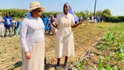 Schwester Junza Mwangani erläutert Schwester Jane Wakahiu, Leiterin des Catholic Sisters Programs der Hilton Foundation, den Erfolg des Projekts