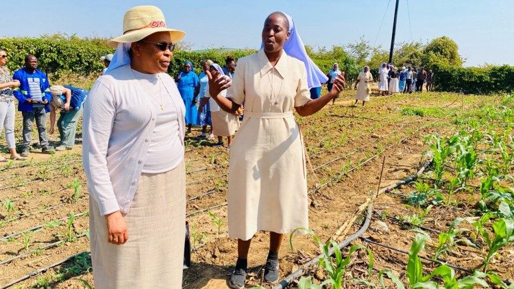 Sr. Junza Mwangani explains the project's success to Sr. Jane Wakahiu, head of the Catholic Sisters program at the Hilton Foundation