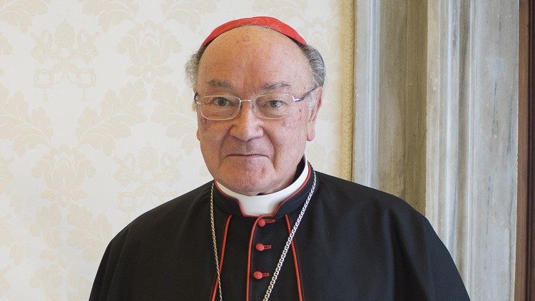 Il cardinale Raffaele Martino