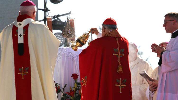 Uroczystość beatyfikacji rodziny Ulmów (Biuro Prasowe KEP)