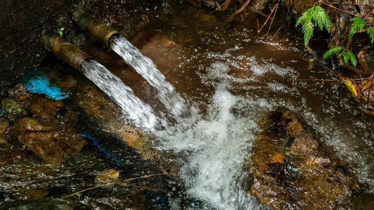 A natural spring in the forests of Bendum provides a vital source of clean water for the Indigenous Pulangiyen community (Photo: Mark Saludes)