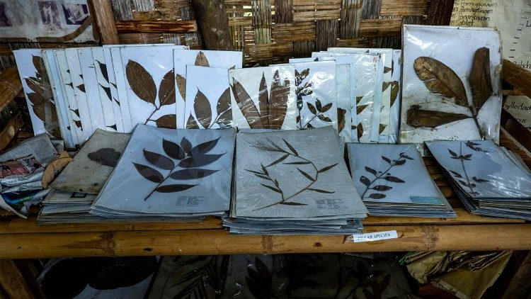 Documentation of the forest trees that the Indigenous Pulangiyen community planted in their ancestral land (Photo: Mark Saludes)